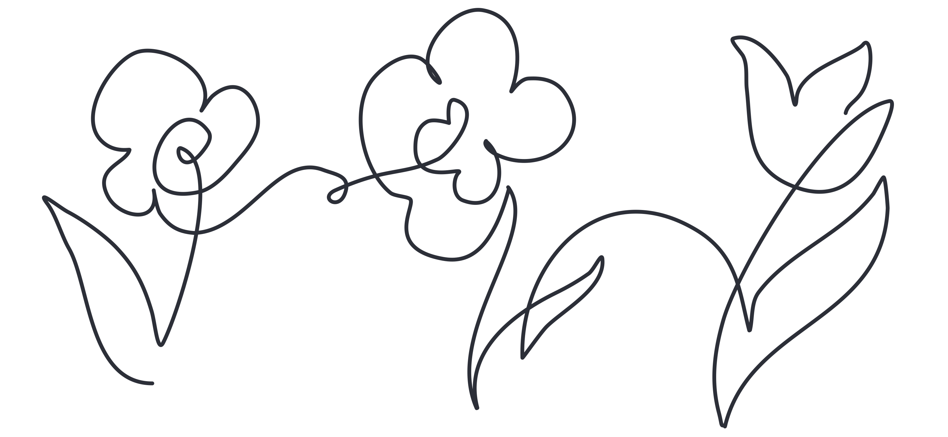 Flowers botanical widget illustration