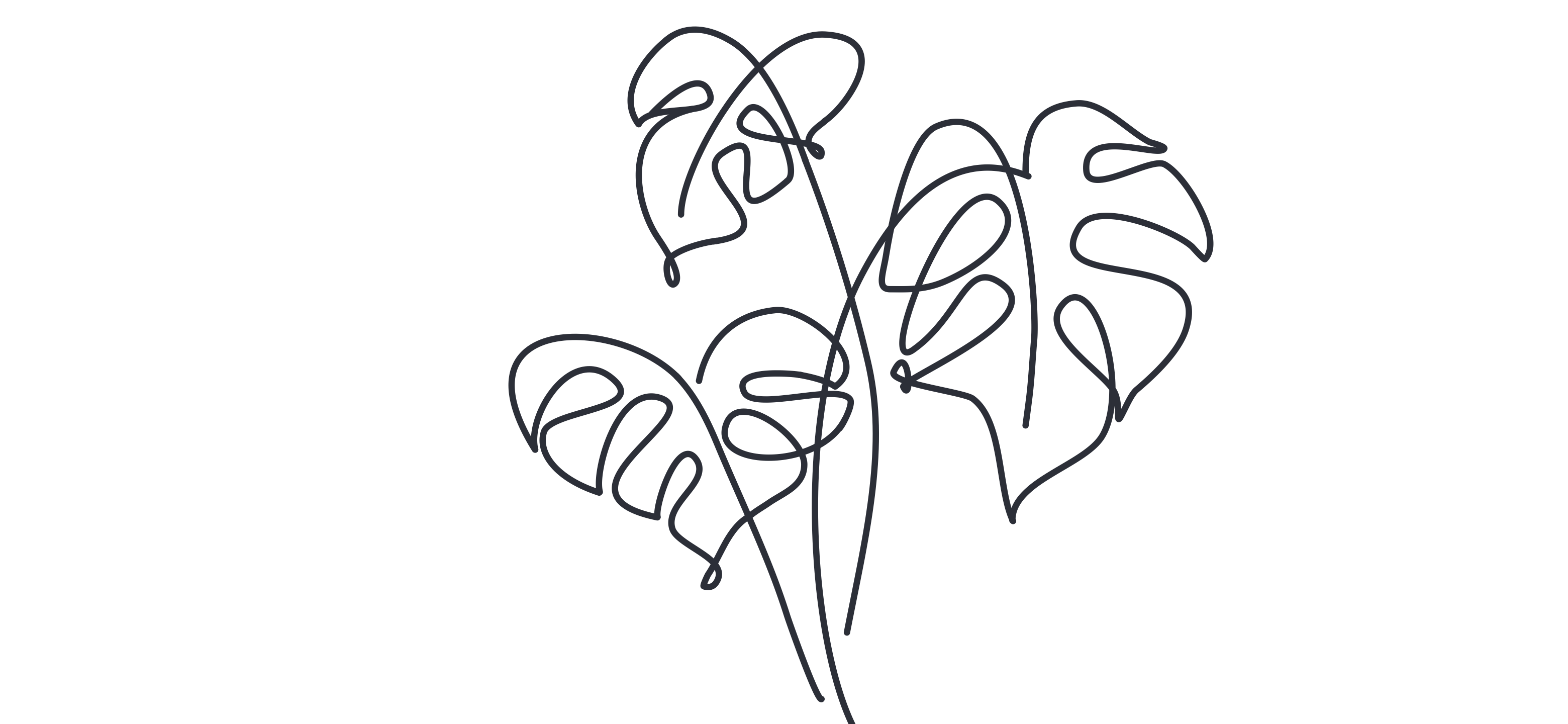 Monstera leaves botanical widget illustration